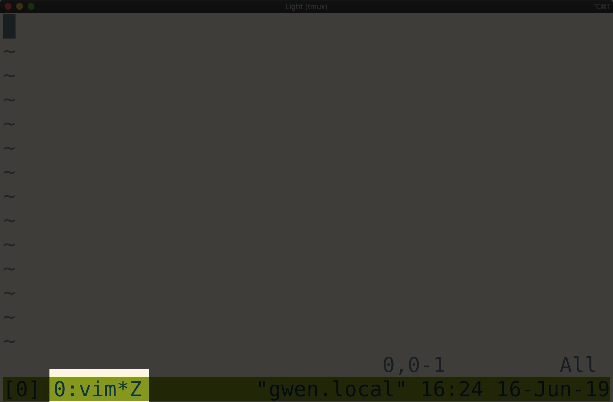 Tmux window with editor pane zoomed showing window in status bar
highlighted