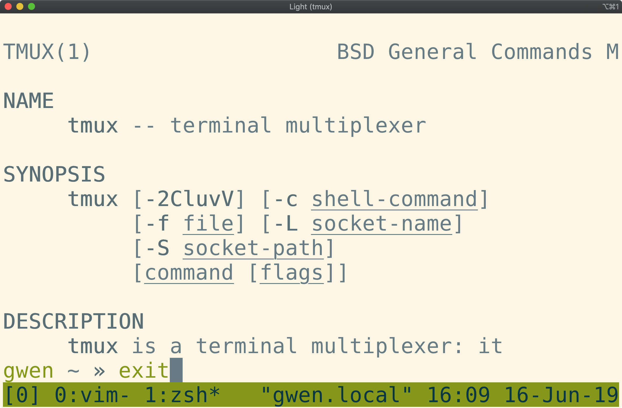 Tmux window showing the word "exit" typed into the command prompt